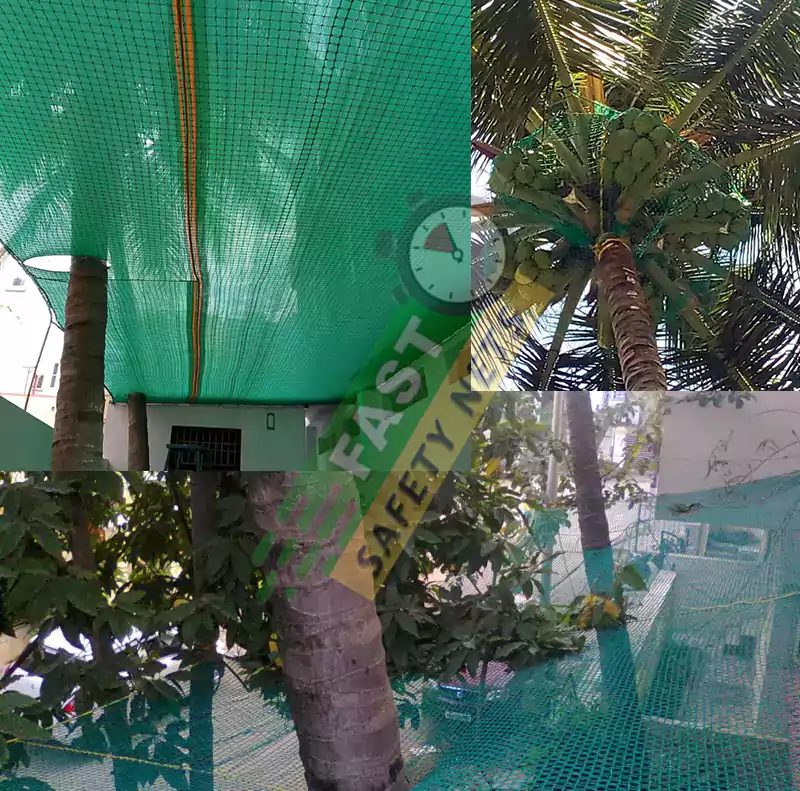 Coconut Tree Safety Nets Near Me